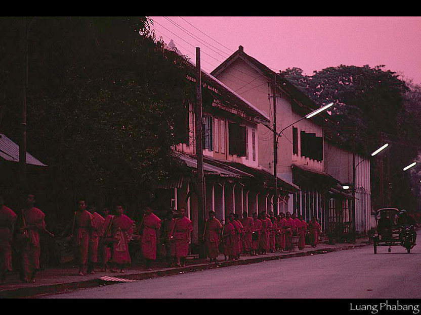 早暁の街を静かに歩むワット・シェントーンの僧侶たち